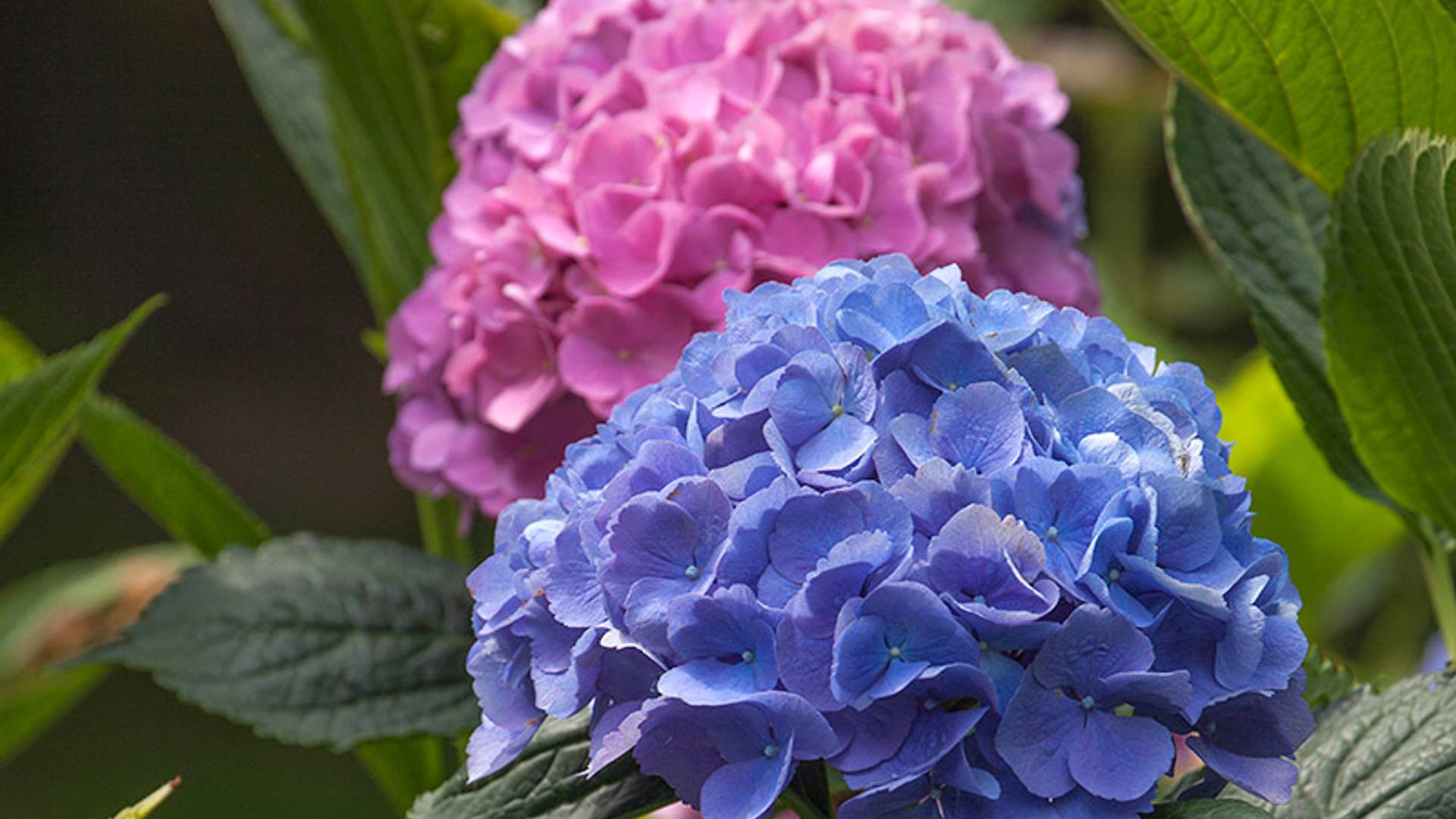 Il-Torrione-Villa-20-resized