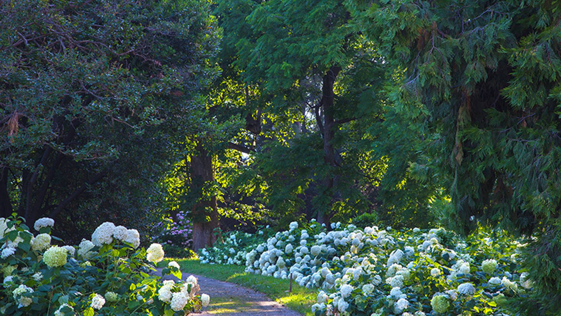 Il-Torrione-Villa-4-resized